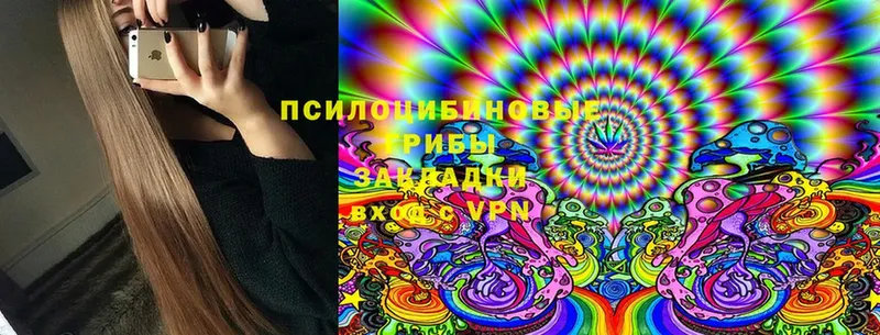 Псилоцибиновые грибы GOLDEN TEACHER  Североуральск 